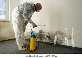 Mold Remediation for Vacation Homes in Manorhaven, NY